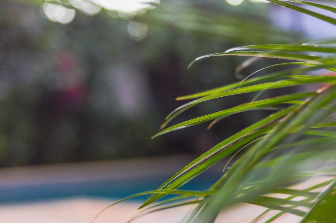 Managua Apart Hotel Пуерто-Іґуасу Екстер'єр фото